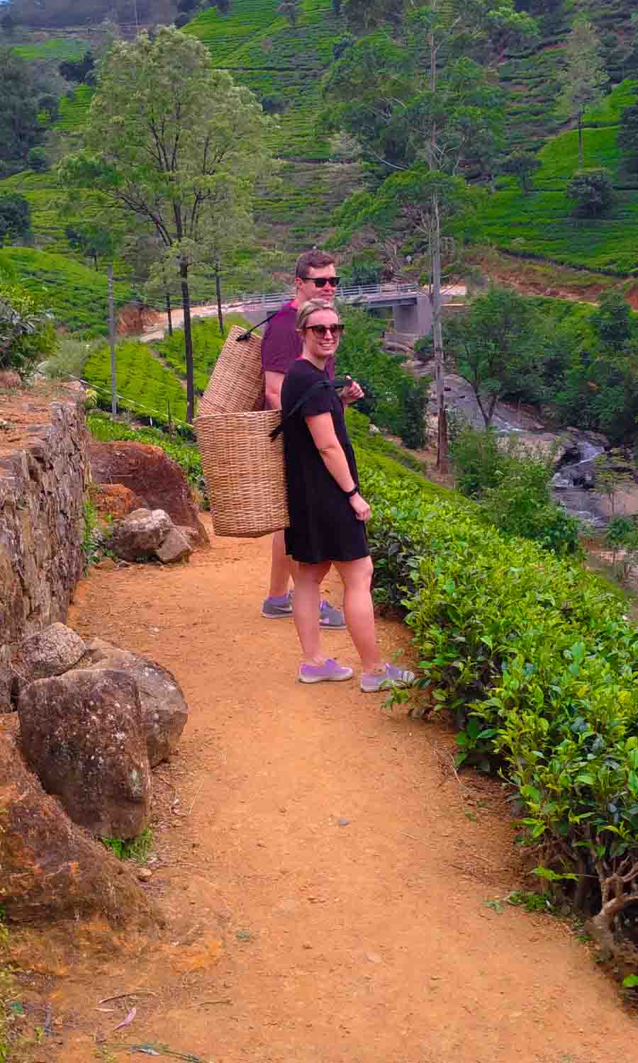 car hire with driver in sri lanka sri lanka hill country tours 54