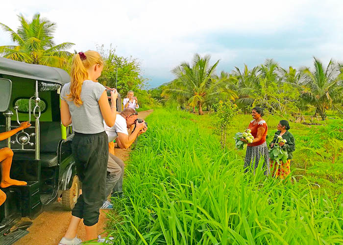community sri lanka tourism sri lank hill country tours