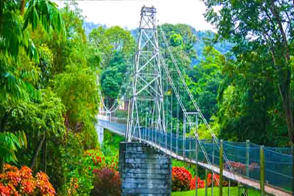 peradeniya sri lanka hill country tours car hire with driver in sri lanka 55