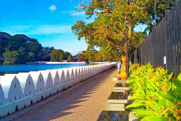 sri lanka hill country tours car hire with driver in sri lanka 47