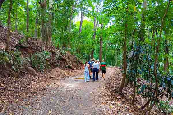 sri lanka hill country tours car hire with driver in sri lanka udawthakele 52