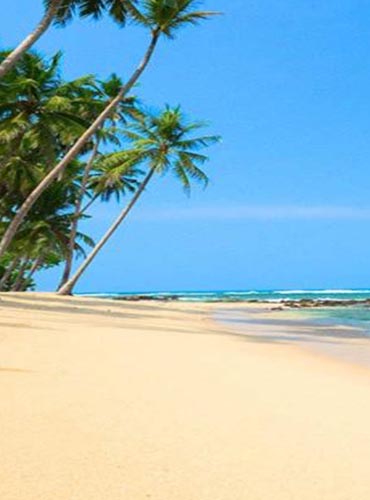 car hire with driver in sri lanka mathara beach sri lanka