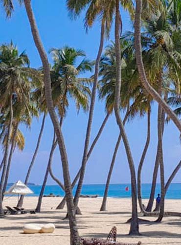 car hire with driver in sri lanka passikudha beach sri lanka