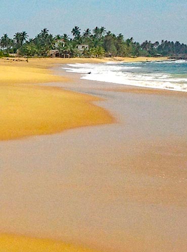sastainable tourism sri lanka hill country tours weligama beach