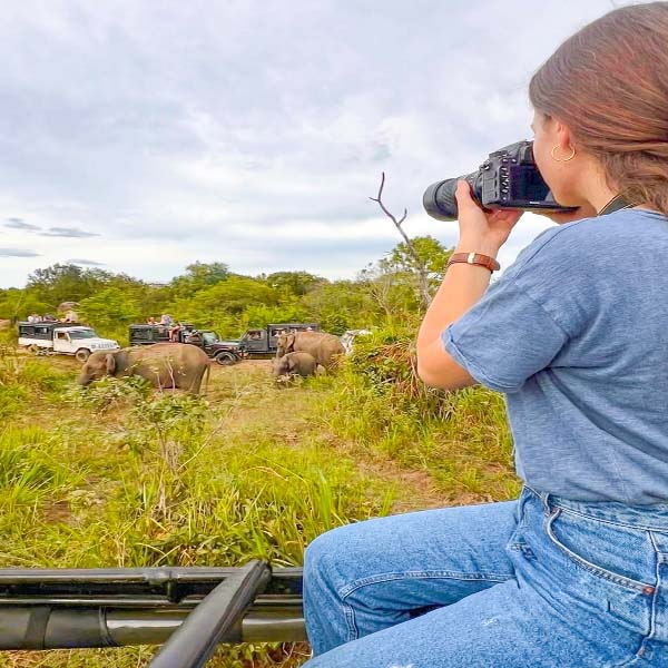 Tourists on a jeep safari looking at a wild elephant in Minneriya National Park