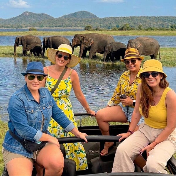 Tourists on a jeep safari looking at a wild elephant in Minneriya National Park