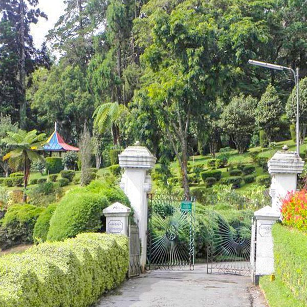 Hakgala Botanical Garden grows a wide variety of flowers.
