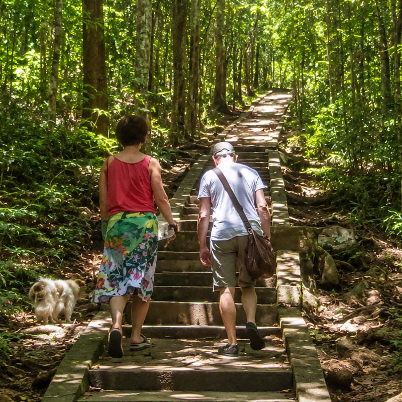 sigiriya-travel-guide-Hiking-through the-sunlit-forest -steps-Garman -travellers