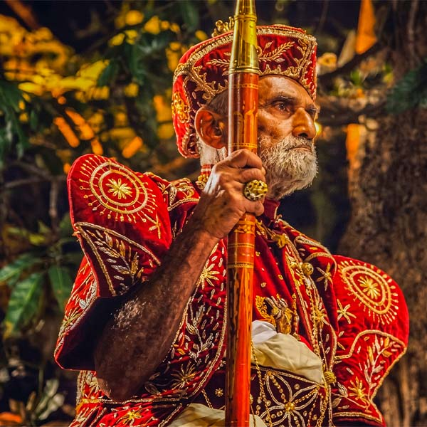 The Gajanayaka Nelame, who is responsible for the royal elephant