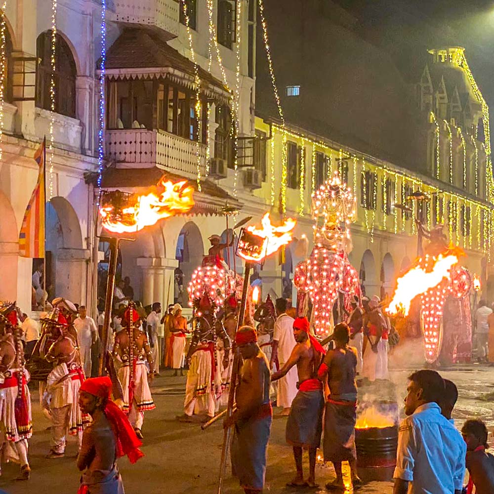 The Maligawa Tusker carrying the Sacred Tooth Relic casket during the Kandy Esala Perahera.