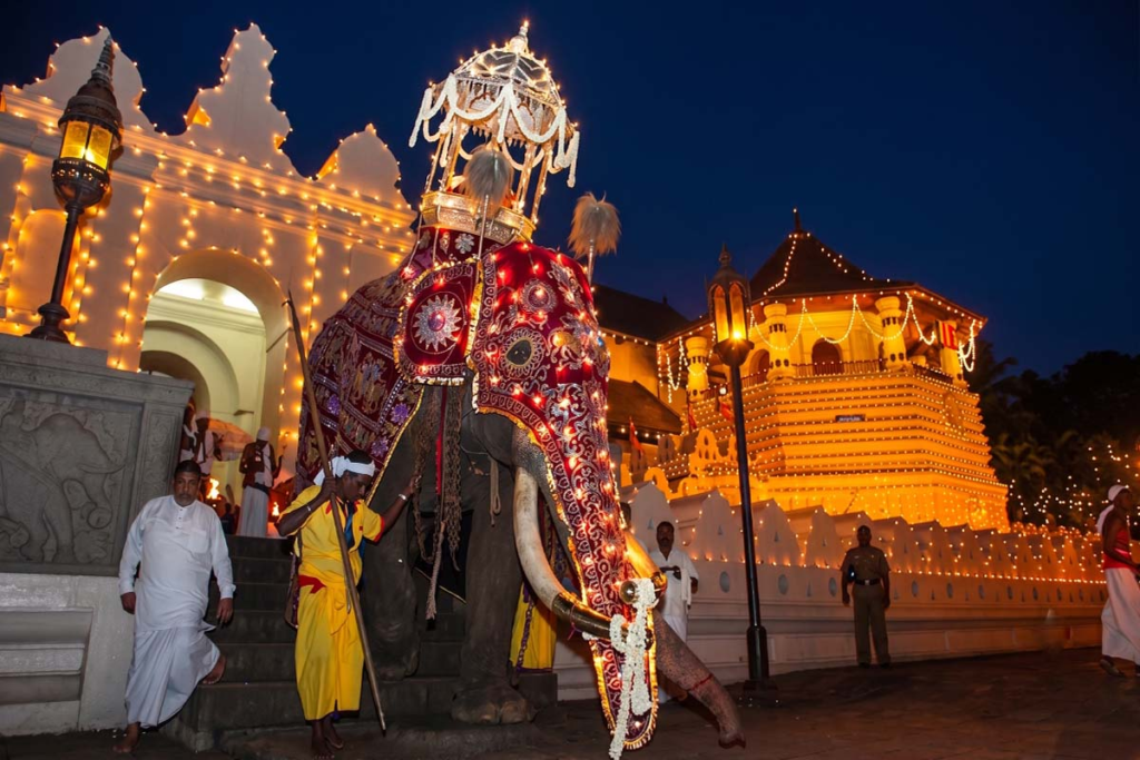 The tusker elephant starts the perahera, honestly carrying the casket.