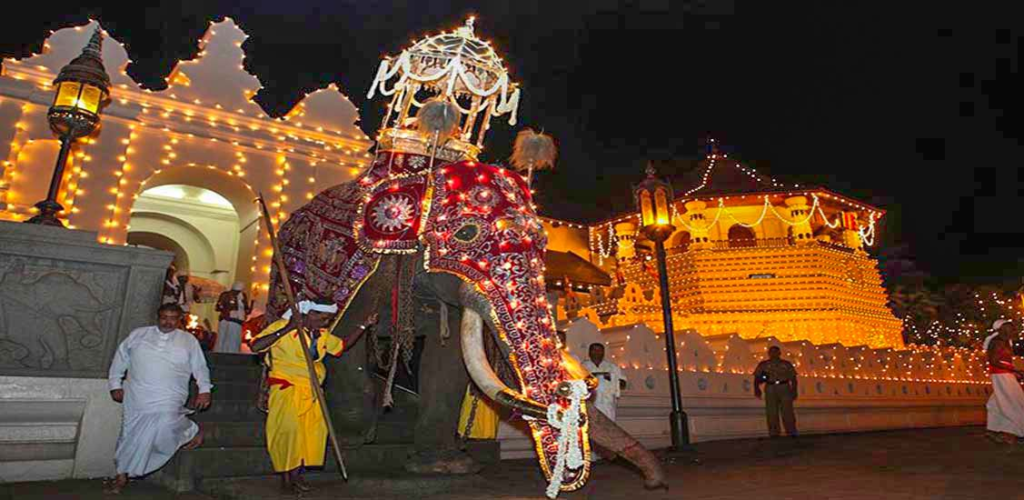 The tusker elephant starts the perahera, honestly carrying the casket.