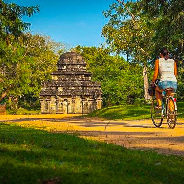 sigitseeing with biking