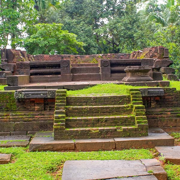 Ancient stone staircase leading up to a ruined masonry platform surrounded by greenery in the historic city of Polonnaruwa.