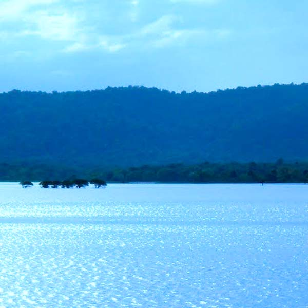 The expansive and serene waters of the ancient Parakkrama Samudraya reservoir in Polonnaruwa, an engineering marvel.
