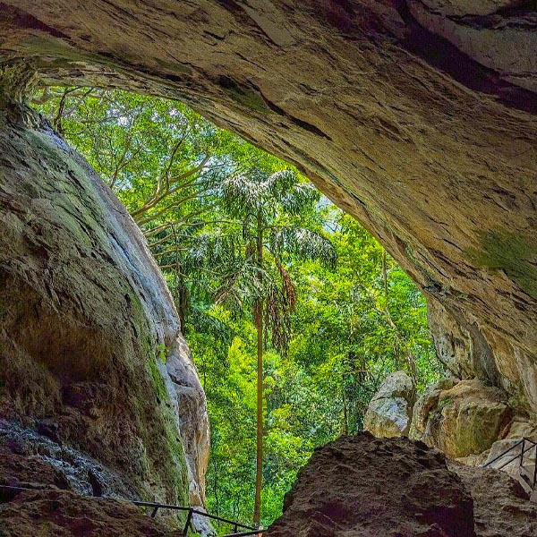 Stone staircase leading up to the dark, massive rock entrance of Ravana Cave surrounded by dense green forest in Ella, Sri Lanka