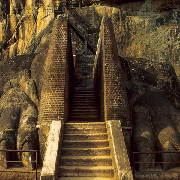 lions paw -sigiriya travel guide