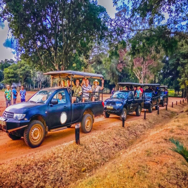 Safari jeep driving along a sandy track through the thick dry-zone forest of Wilpattu National Park in Sri Lanka.