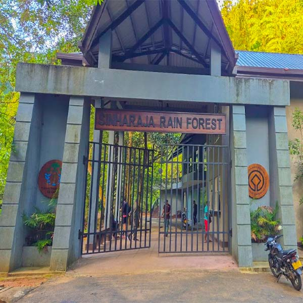 Kudawa Entrance, Sinharaja forest sri lanka