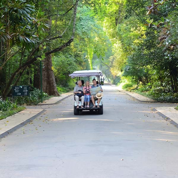 Visitors riding in a golf cart along a shaded pathway flanked by tall trees