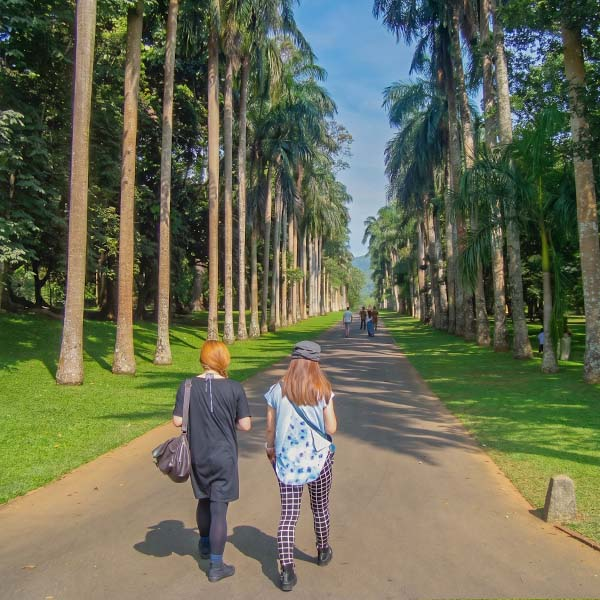Two visitors walking along the tall palm-lined walkway under a clear sky at Peradeniya.