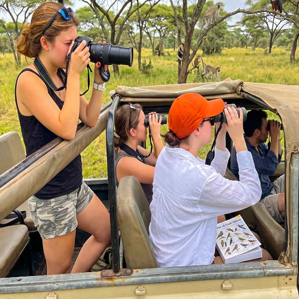 Tourists birdwatching and taking photos from an open-top safari jeep in Bundala National Park, Sri Lanka, with monkeys visible in the background trees.
