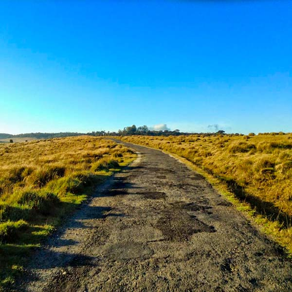 A rugged dirt entrance road winding through grassy plains, used by travelers driving up to the local nature museum.