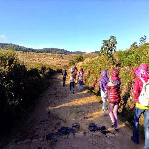 A hiker wearing a windbreaker and sturdy shoes on the trail at Horton Plains