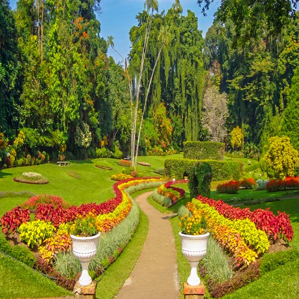 -Manicured geometric flower beds with red and yellow blooms lining a curved gravel pathway beneath tall trees