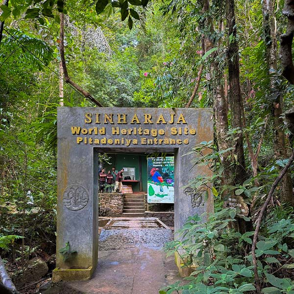 Pitadeniya Entrance Sinharaja hiking Sri Lanka