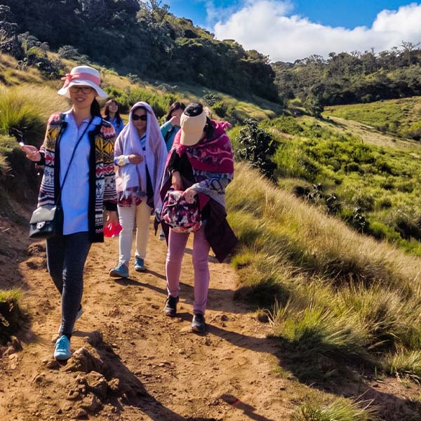 A group of tourists walking back from their hike along a scenic dirt trail through a grassy highland landscape.