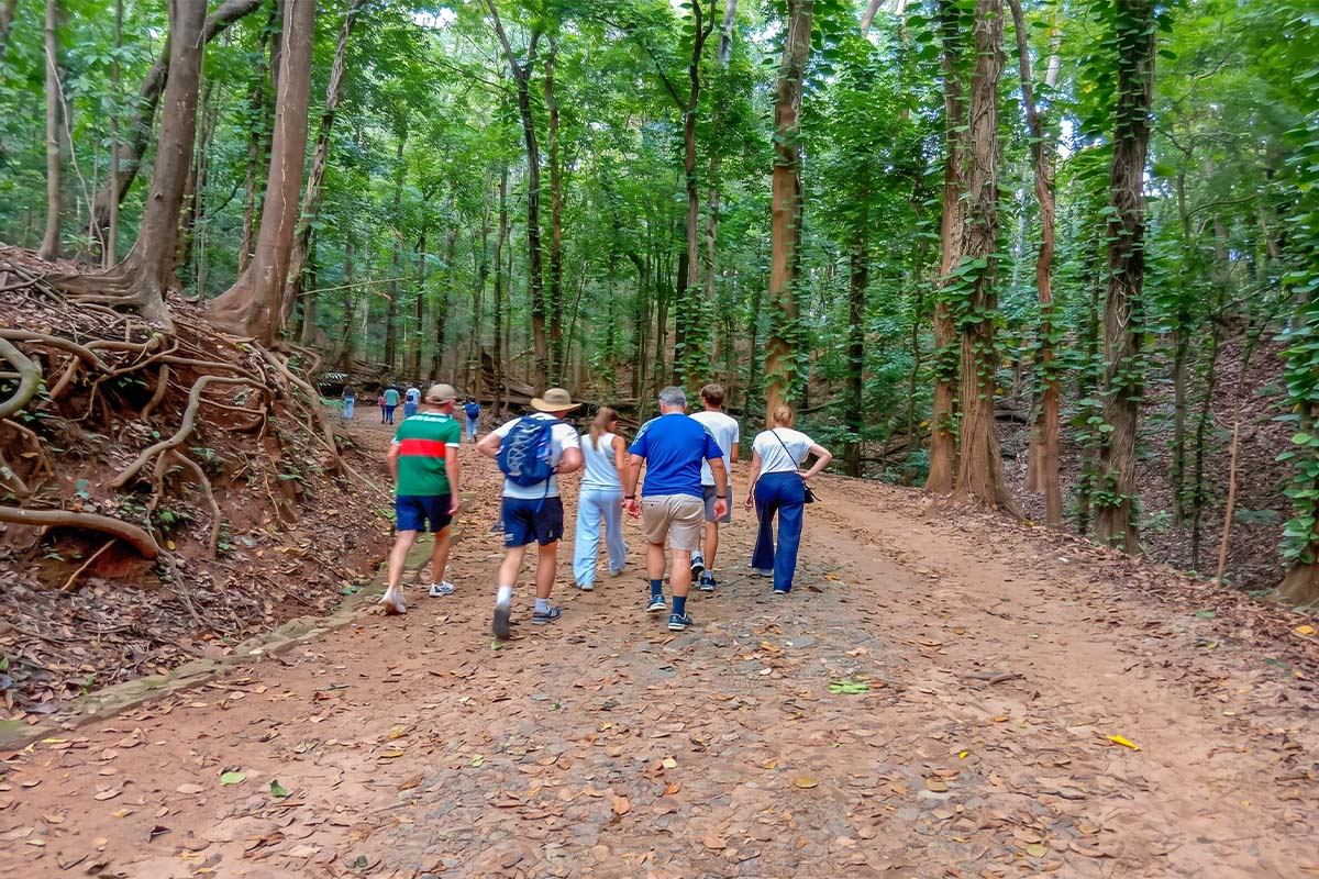 Hikers on a forested trail: A group of visitors walking along a shaded dirt path surrounded by lush green trees and exposed roots within udawatta kele Senctuary