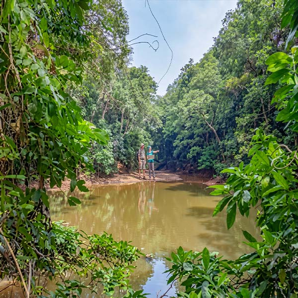 Royal Pond in Udawatta Kele: Two visitors standing near the edge of a serene forest pond surrounded by dense tropical trees and lush greenery within Udawatta Kele Sanctuary.