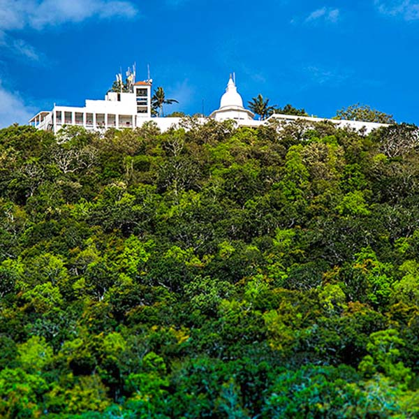 Wedahitikanda is a mountain place at Katharagama