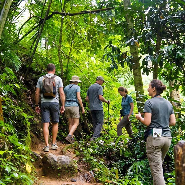 Group of travelers joine with our guide for birds watching at kitulgala