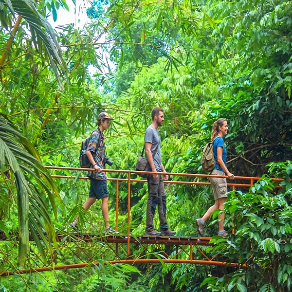 A family walking across a suspension bridge surrounded by the lush green rainforest canopy in Kitulgala, Sri Lanka.