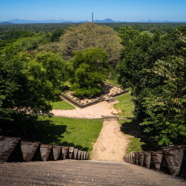 Scenic view looking down from the historic stone steps at an ancient heritage site in Sri Lanka, showing the pathway leading through the surrounding forest and plains.