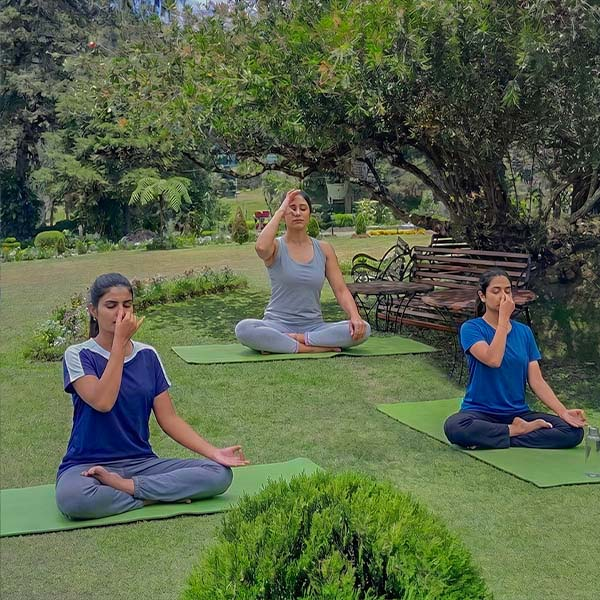 Three people practicing breathwork (Pranayama) and meditation on yoga mats on a lawn surrounded by tropical greenery in Sri Lanka.