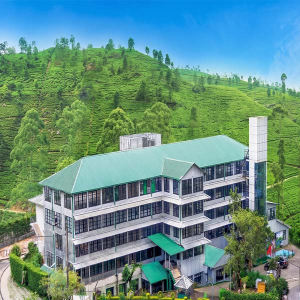 Ceylon tea factory nestled in the green hills of Sri Lanka's hill country tour