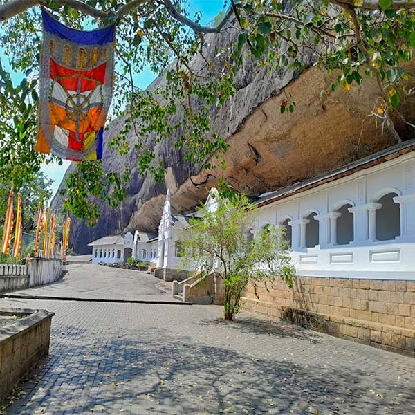 Travelers exploring ancient cultural heritage sites and Dabulla rock temples during a guided tour of Sri Lanka