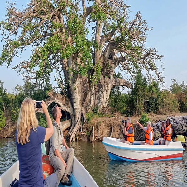 Travelers photographing the massive ancient Baobab tree on the riverbank