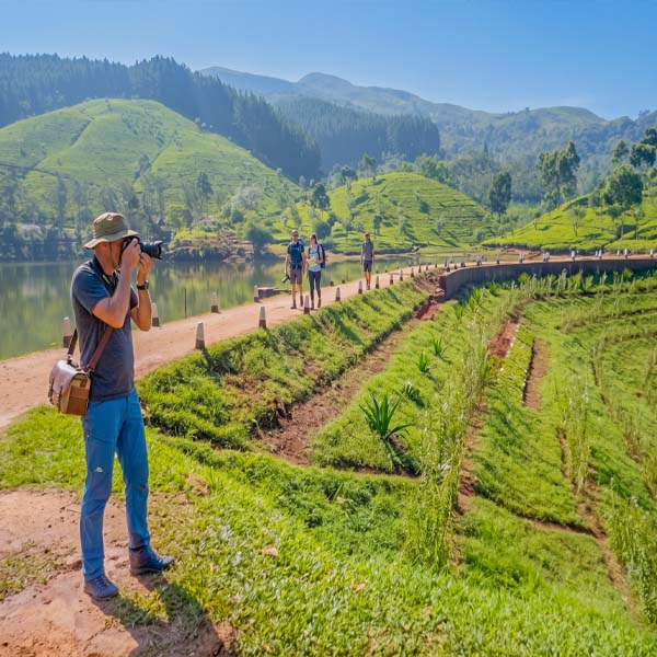 A traveler photographing the scenic landscape of Sembuwatta Lake and its surrounding pine forest and tea plantations.